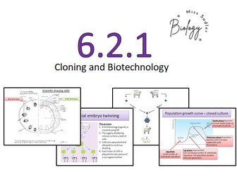 6.2.1 Cloning and Biotechnology OCR A level Biology (11-12 lessons)