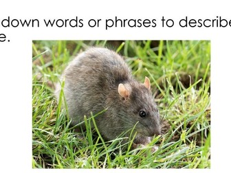 Lesson on Descriptive Writing