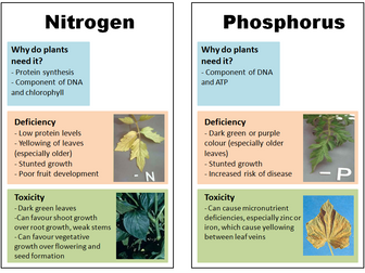 Plant nutrition