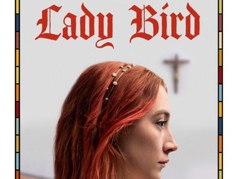 Lady Bird Workbook