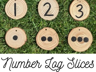 Numbers 1-10 Log Slices