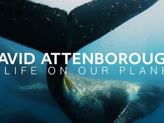 David Attenborough A Life On Our Planet Project Y7 and Y8