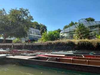 Language Analysis ideal for GCSE and Creative Writing