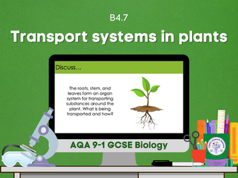 Transport systems in plants