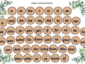 NLC Stage 1 Common Word Wall