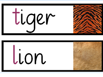 Jungle animal words