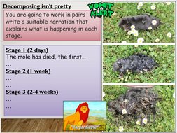 KS3 The carbon cycle | Teaching Resources