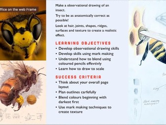 The Living World, Insects in art. Complete project PPTs, Worksheets, Home learning, Extensions