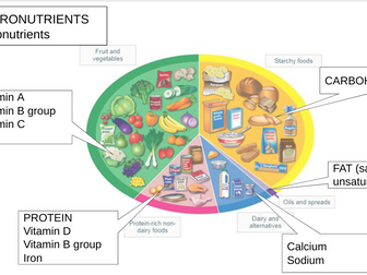 Macronutrients and micronutrients