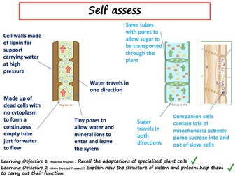 SB6 - Edexcel - lessons 1-6