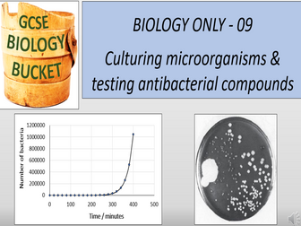 AQA GCSE Biology: Culturing microorganisms & testing antibacterial compounds