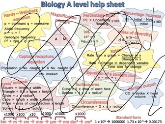 A Level Biology Maths Help Sheet