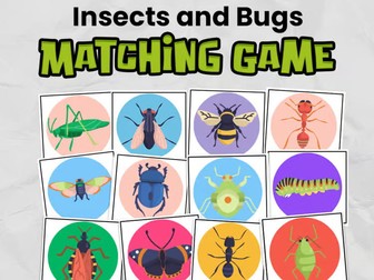 Insects Matching Card Game | Memory Game Centers for Kindergarten or EYFS