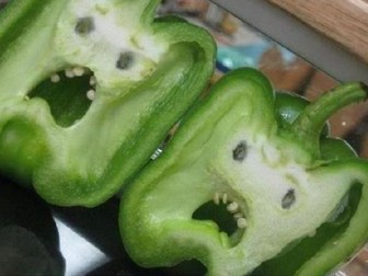 GMO or Organic food?