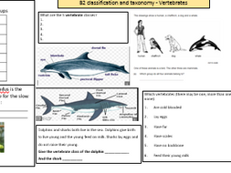 Vertebrates KS3 worksheet | Teaching Resources