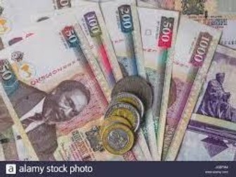 Money- Learn about Kenyan Money