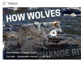 Worksheet - Video "how wolves change rivers"