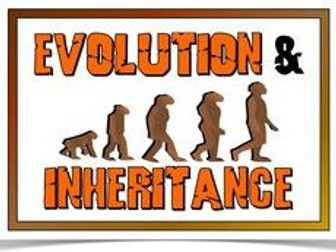 Evolution & Inheritance