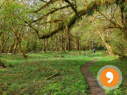 El Parque - The Park - Quiz