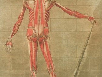 Medicine Through Time 1250+ revision/practice question booklet