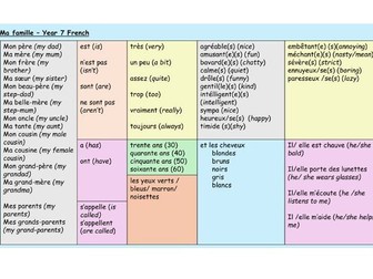 Describing family Y7 French 3 lessons