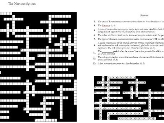 The Nervous System: Crossword
