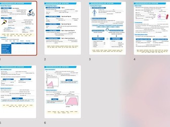 A Level PE - Neuromuscular System Worksheets and Answers