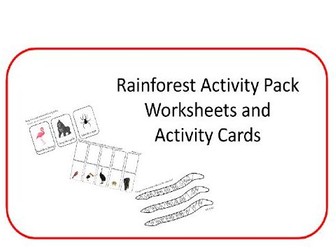 Early Years Rainforest