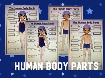 KS1 Human Body Parts Labeling Activity