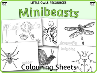 Minibeasts Colouring Sheets Mindfulness