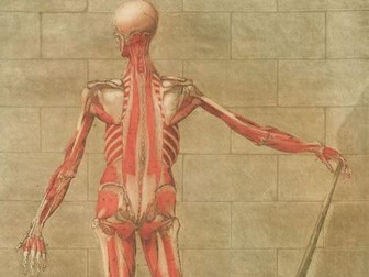 GCSE MEDICINE REVISION GAME SPOT THE WRONG WORD