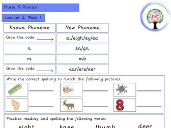 Early Reading & Phonics Homework/ Support Sheet- Summer 2 (Year 1)