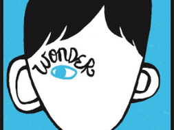 Allusions, Google Expedition to the Moon, and "Write Around" Strategy using R.J. Palacio's Wonder