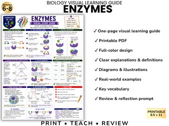 ENZYMES Biology Visual Learning Guide | Grade 8 & Middle School Science