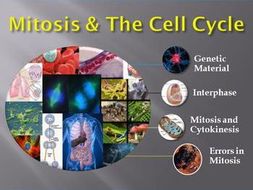 Mitosis and Cell Division Lesson - Biology PowerPoint & Student Notes Package