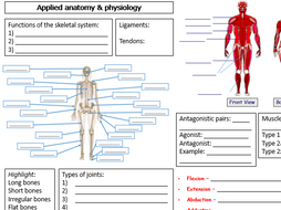 Edexcel GCSE PE (New Spec) - Revision sheet - Component 1 Topic 1 ...