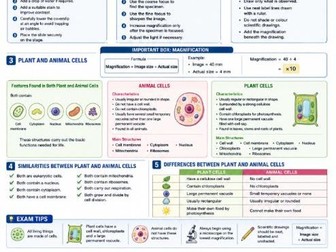 KS3 Cell Structure & Function Visual Notes