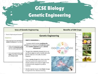 GCSE Biology - Genetic Engineering