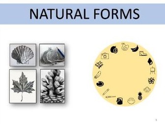 'Natural Forms' - KS3, 7 week SOW