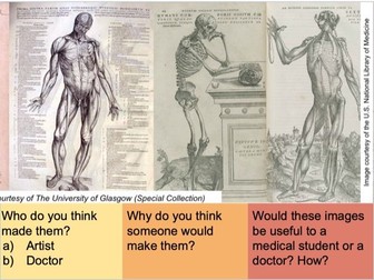 Renaissance Medicine: Lesson 2: What was the impact of Vesalius on medical progress?