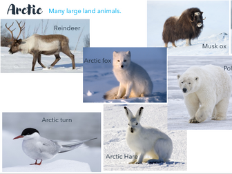 Compare Arctic and Antarctic
