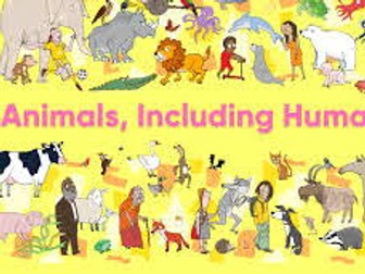 Animals Including Humans