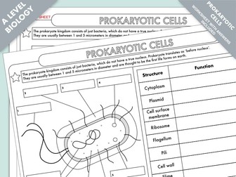 A Level Biology: Cell Structure Worksheet Bundle | Teaching Resources