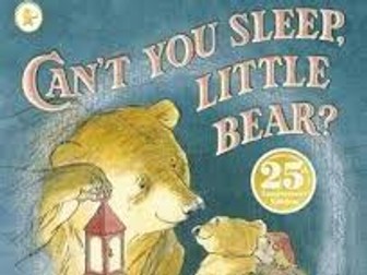 Can't You Sleep Little Bear? Reading Comprehension Questions