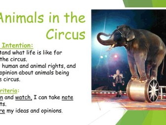 Animals in the Circus