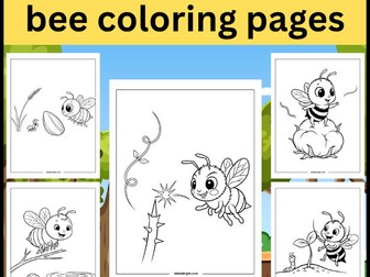 Bee Colouring Sheets – Insect Theme Activity for EYFS & KS1