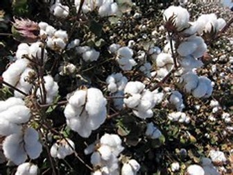 Textiles theory introduction