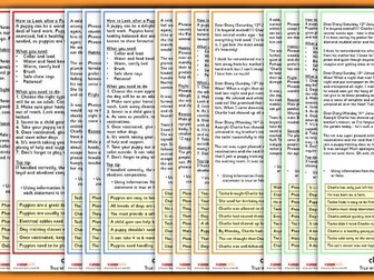 KS2 SATs Practice True or False Reading Statements - by Classroom Secrets