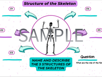 AQA GCSE PE - Structure of the Skeleton worksheet