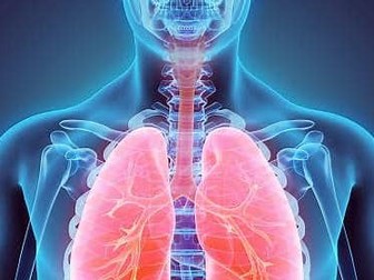 AQA A-Level PE Respiratory System